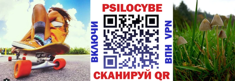 Псилоцибиновые грибы GOLDEN TEACHER  Купить где  Назарово 