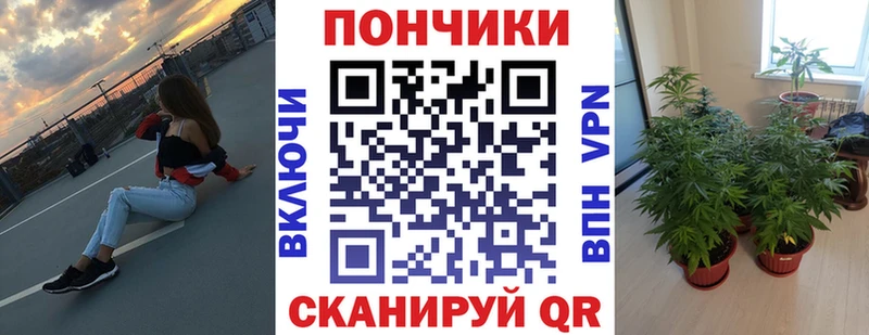 Купить закладки  Назарово  Марихуана план 